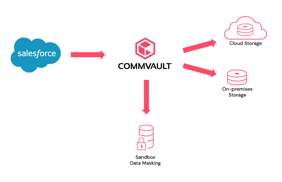 Salesforce Data Protection Solution - Commvault