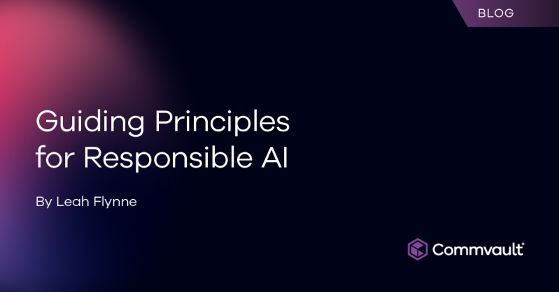 Guiding Principles for Responsible Artificial Intelligence